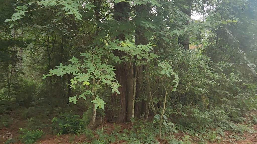Lot 8 Walnut Tree Lane