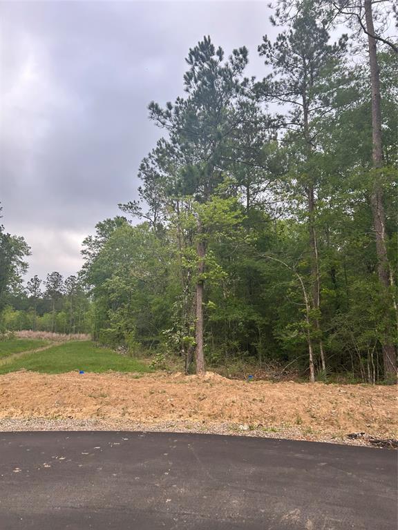 1545 County Road 632, Dayton, Texas image 7