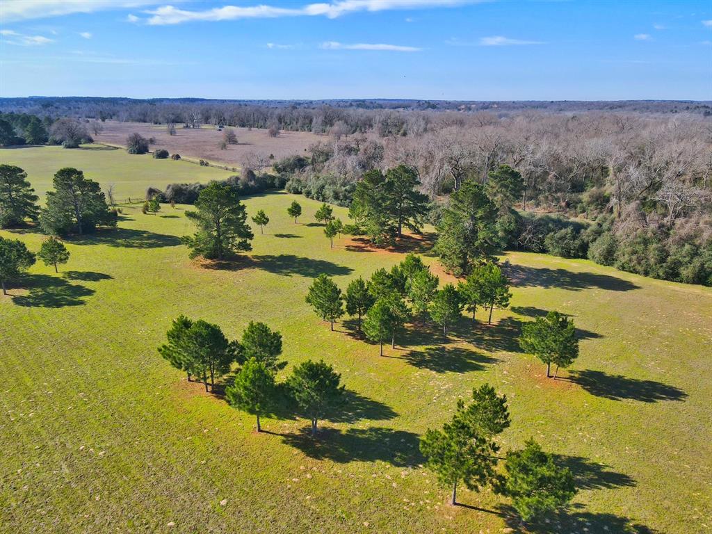 11898 Cr 112, Centerville, Texas image 8