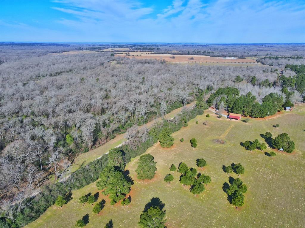 11898 Cr 112, Centerville, Texas image 10