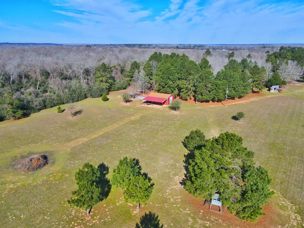 11898 Cr 112, Centerville, Texas image 12