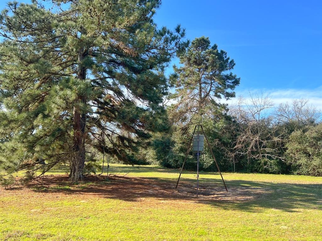 11898 Cr 112, Centerville, Texas image 9