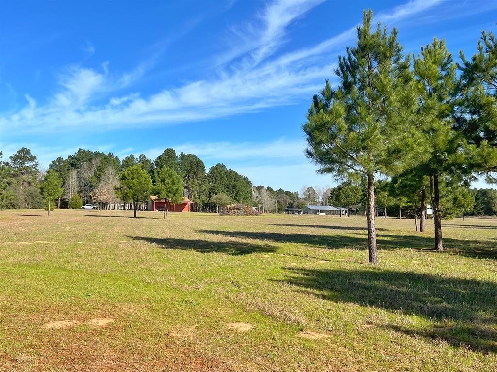 11898 Cr 112, Centerville, Texas image 17