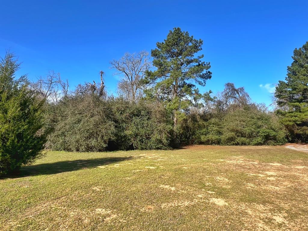 11898 Cr 112, Centerville, Texas image 19