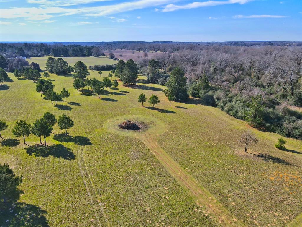 11898 Cr 112, Centerville, Texas image 6