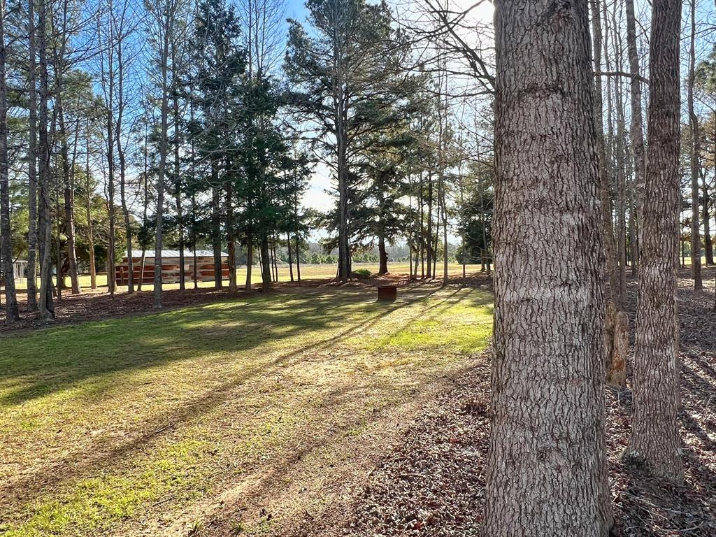 11898 Cr 112, Centerville, Texas image 21