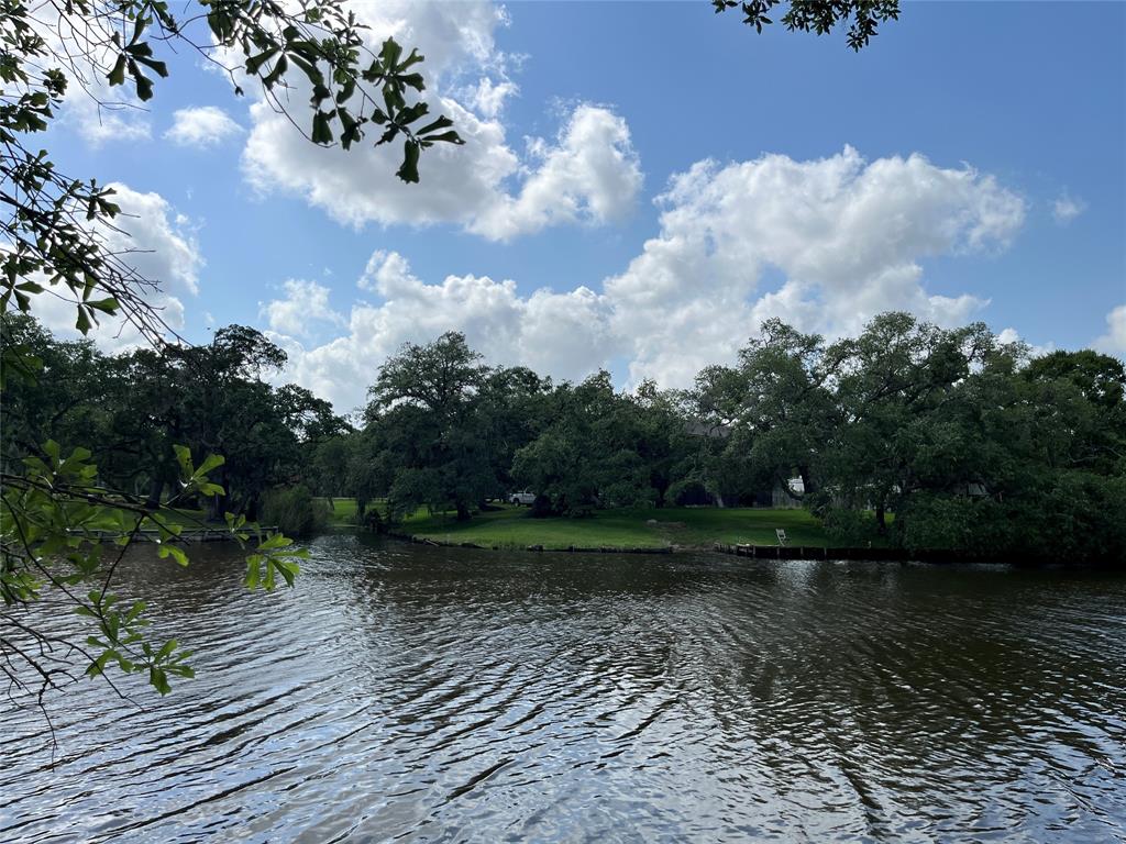 32526 Bayou Bend, Richwood, Texas image 1