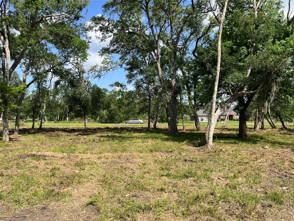32526 Bayou Bend, Richwood, Texas image 14