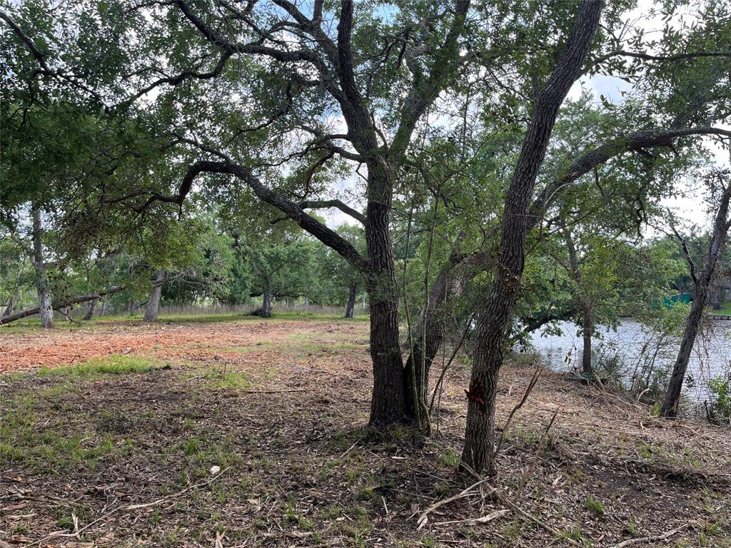 32526 Bayou Bend, Richwood, Texas image 23