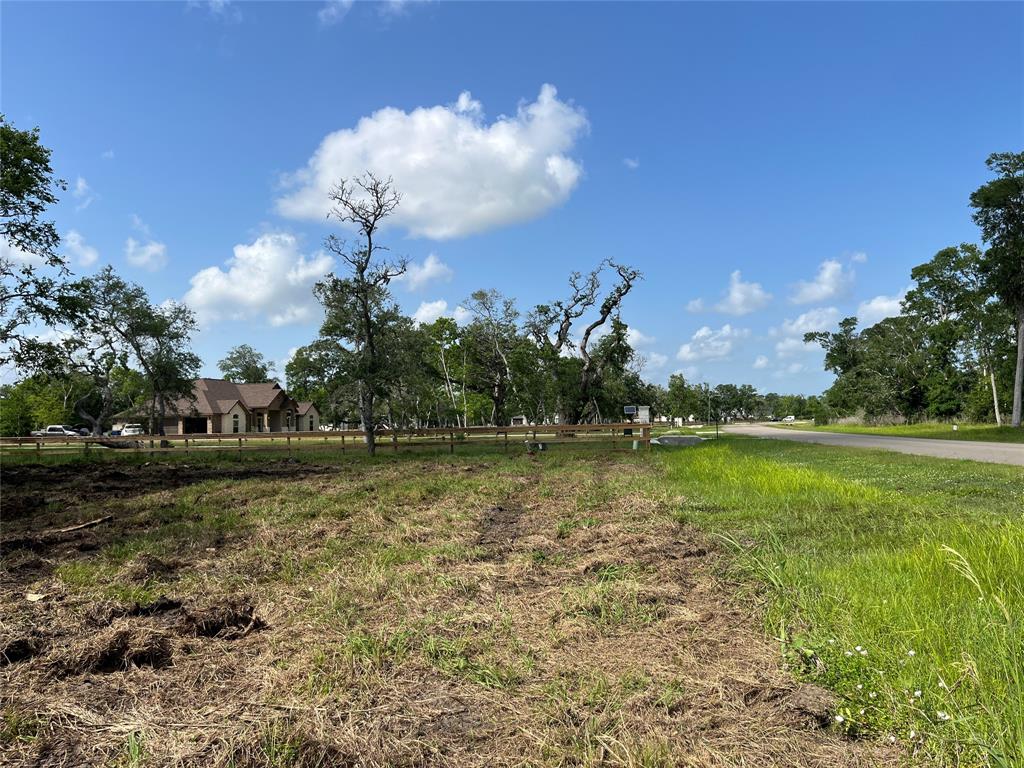 32526 Bayou Bend, Richwood, Texas image 25