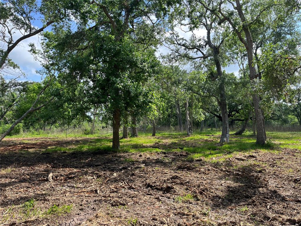 32526 Bayou Bend, Richwood, Texas image 15