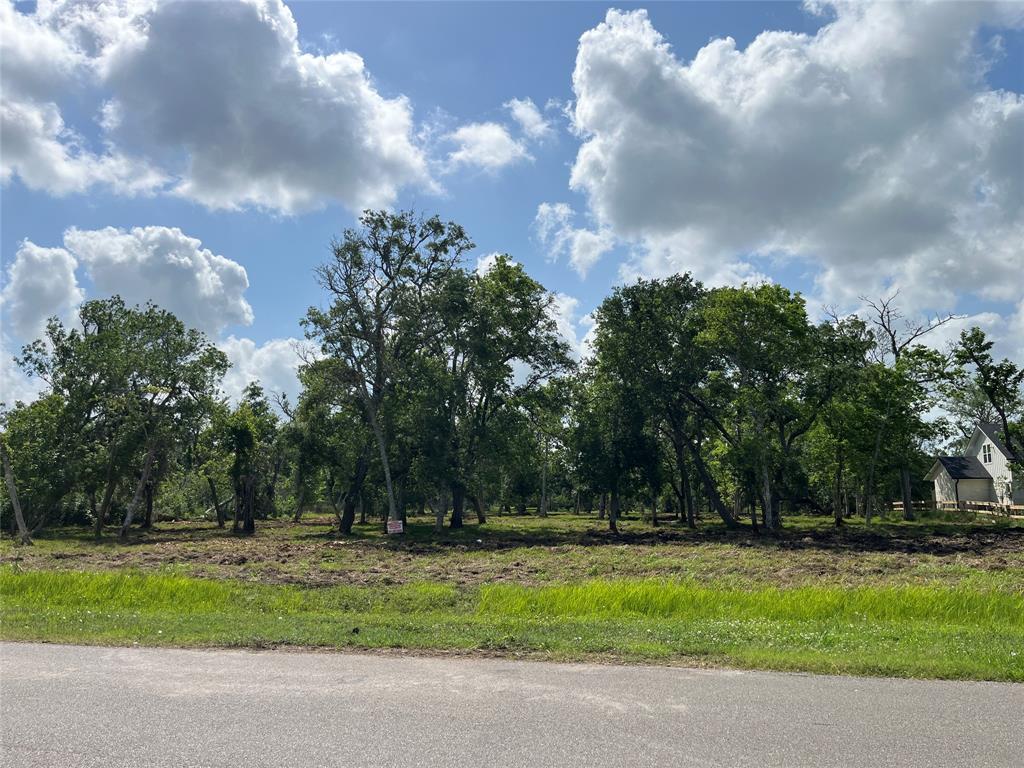 32526 Bayou Bend, Richwood, Texas image 3