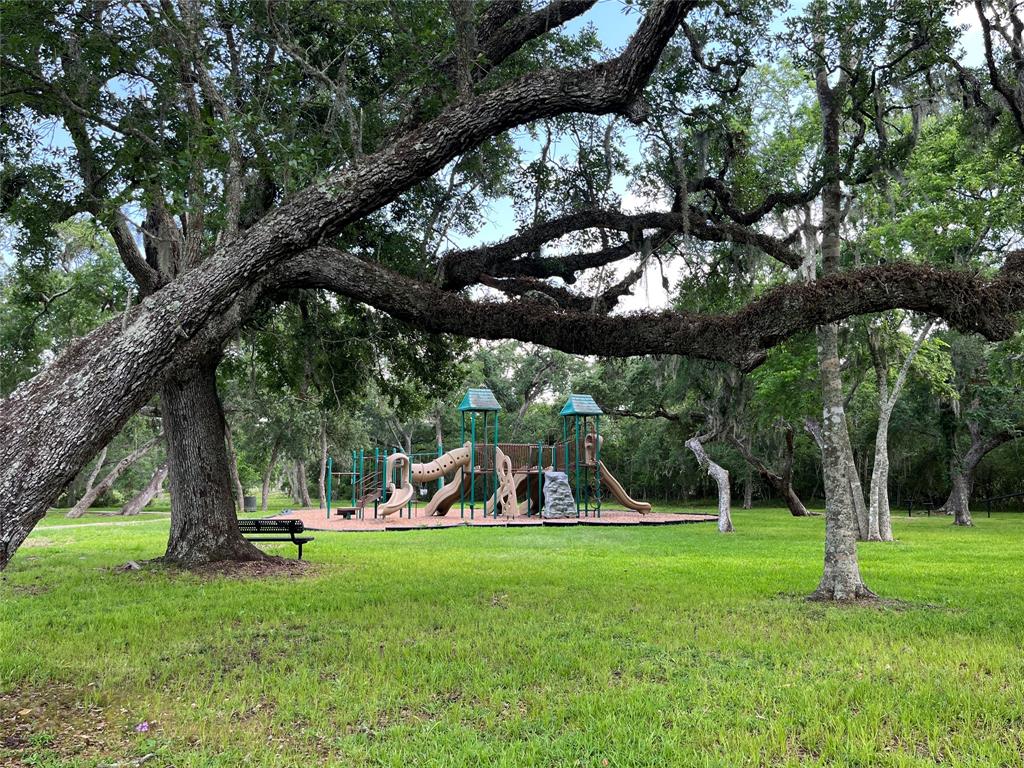 32526 Bayou Bend, Richwood, Texas image 10