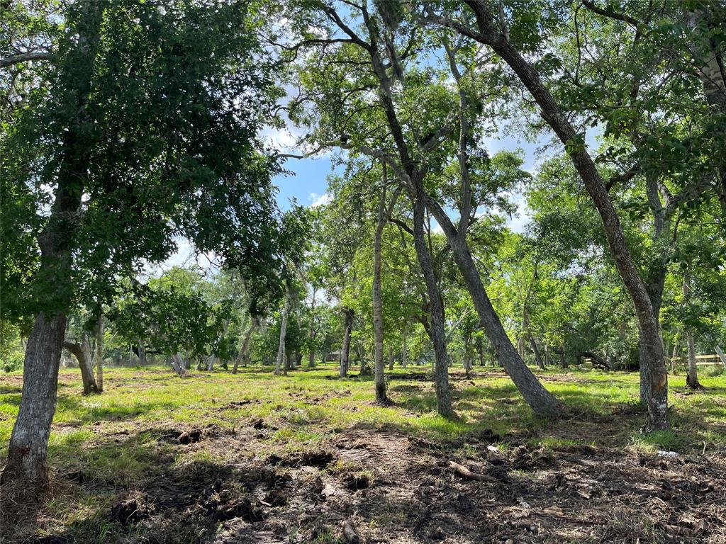 32526 Bayou Bend, Richwood, Texas image 12
