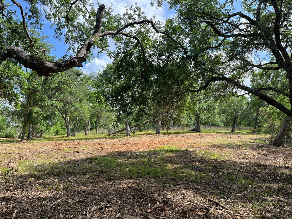 32526 Bayou Bend, Richwood, Texas image 22