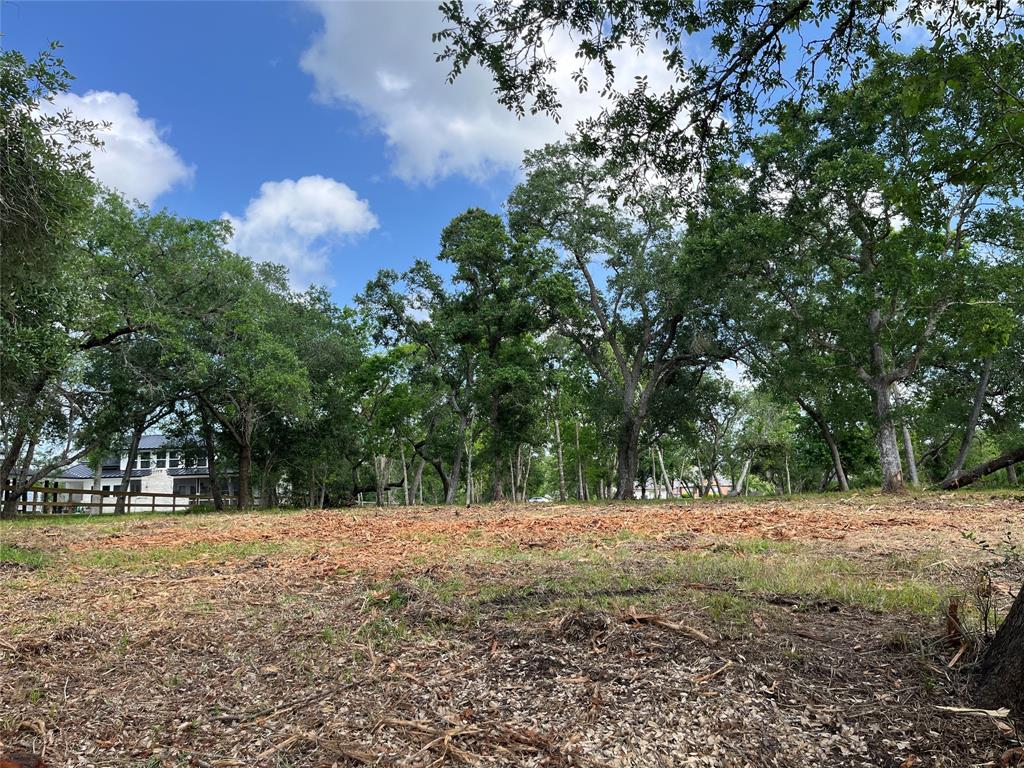 32526 Bayou Bend, Richwood, Texas image 20