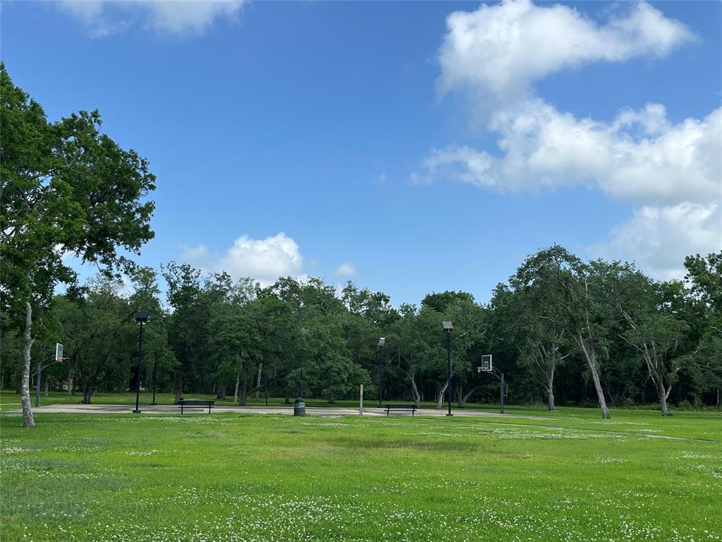 32526 Bayou Bend, Richwood, Texas image 26