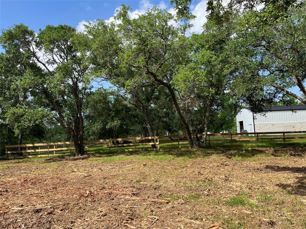 32526 Bayou Bend, Richwood, Texas image 16
