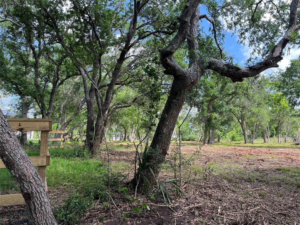 32526 Bayou Bend, Richwood, Texas image 21