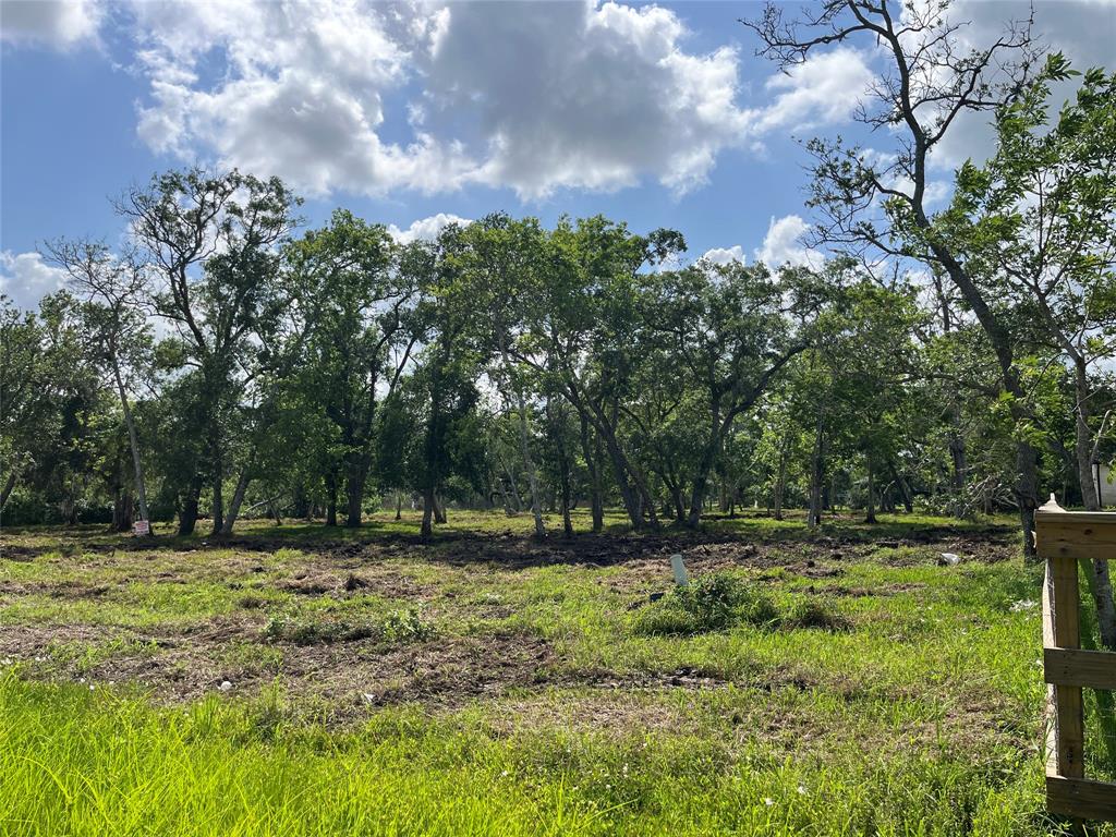 32526 Bayou Bend, Richwood, Texas image 11