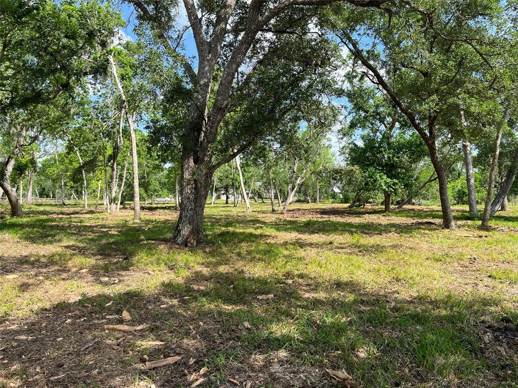 32526 Bayou Bend, Richwood, Texas image 18
