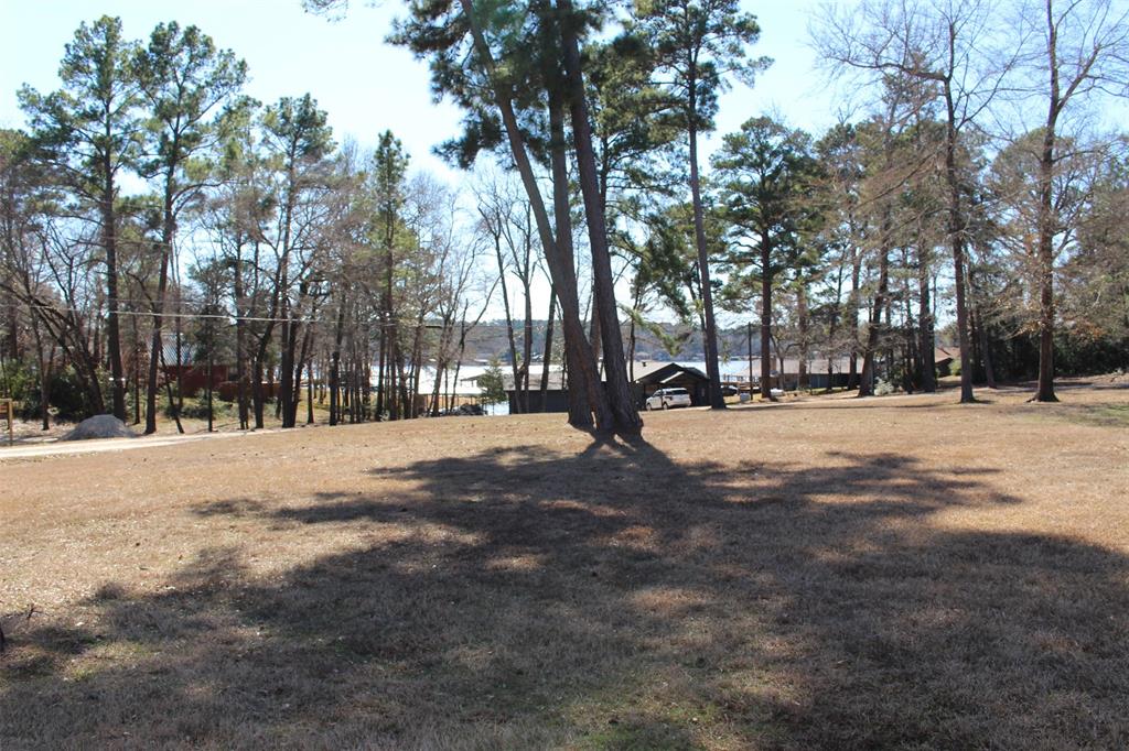 283 Lakeshore Drive, Grapeland, Texas image 4