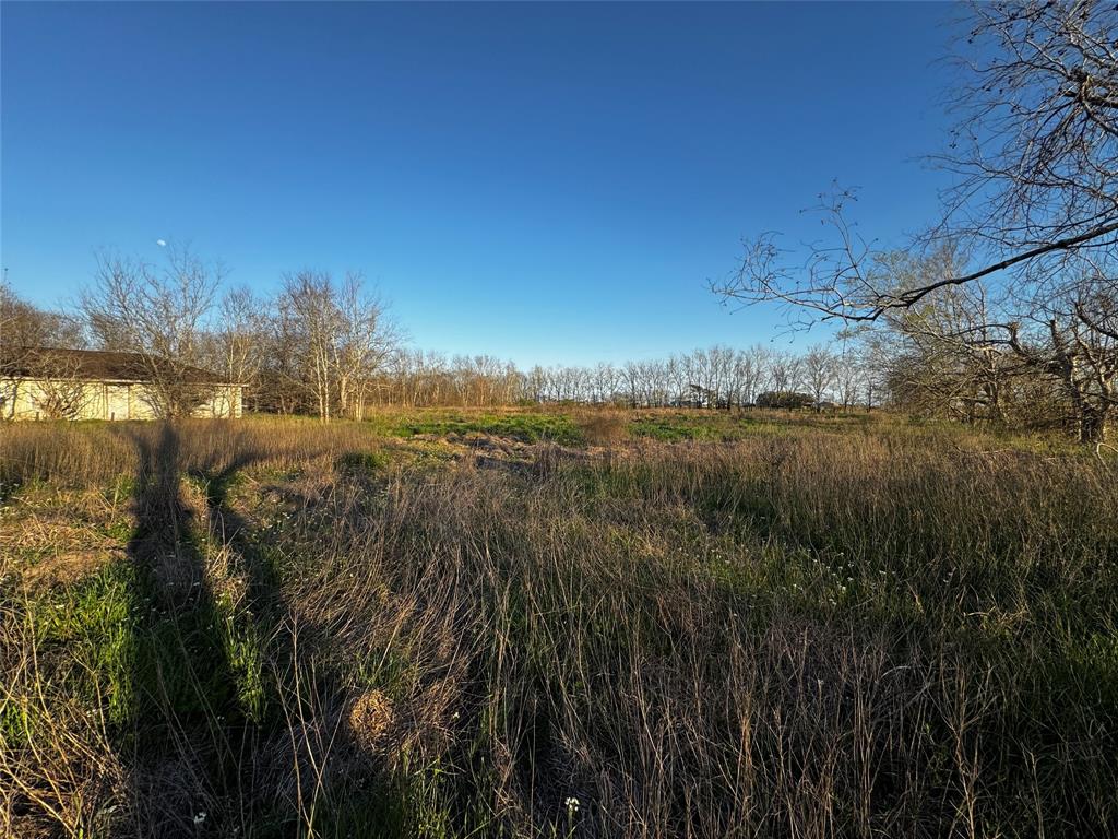 27215 Highway 36, Damon, Texas image 3