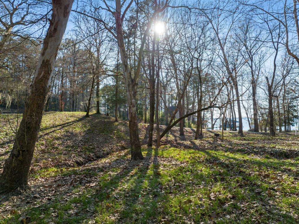 TBD Grand Pine Circle, Livingston, Texas image 13