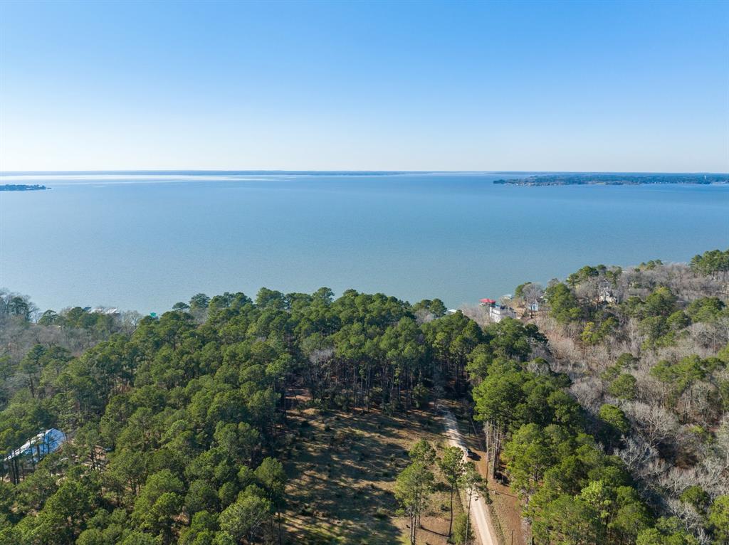 TBD Grand Pine Circle, Livingston, Texas image 14
