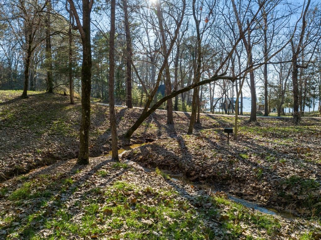 TBD Grand Pine Circle, Livingston, Texas image 12