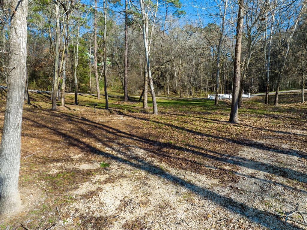 TBD Grand Pine Circle, Livingston, Texas image 10