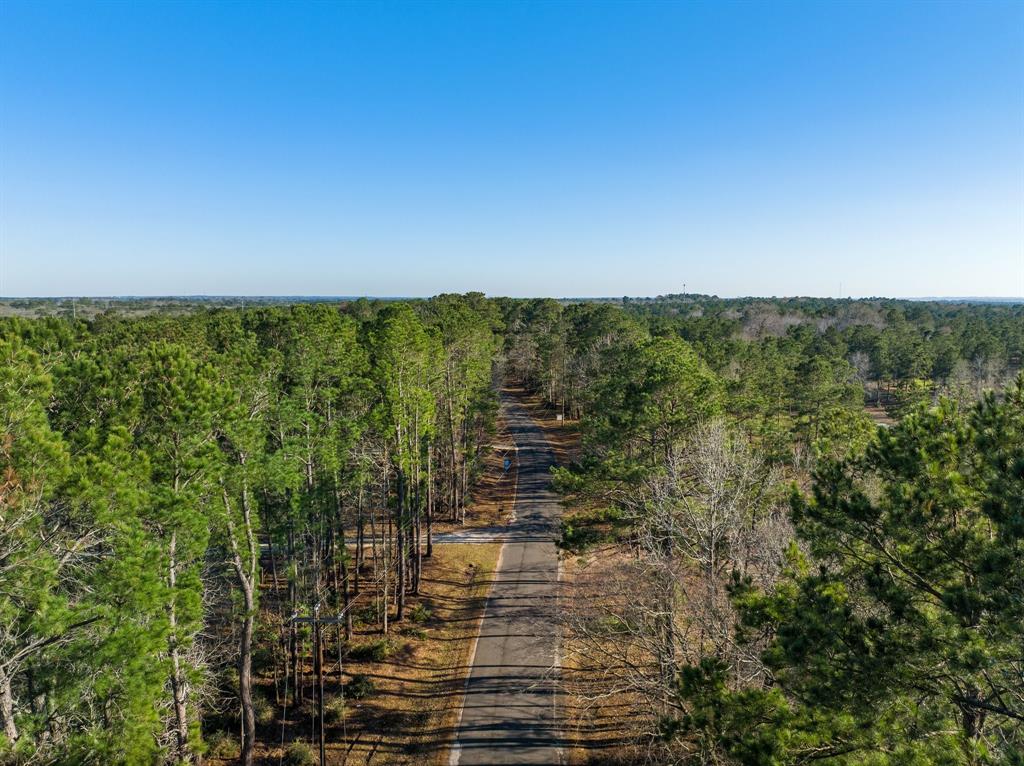 TBD Grand Pine Circle, Livingston, Texas image 20