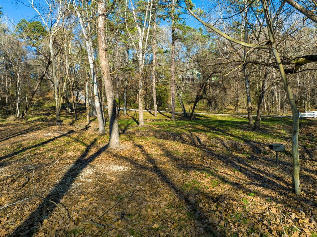 TBD Grand Pine Circle, Livingston, Texas image 11