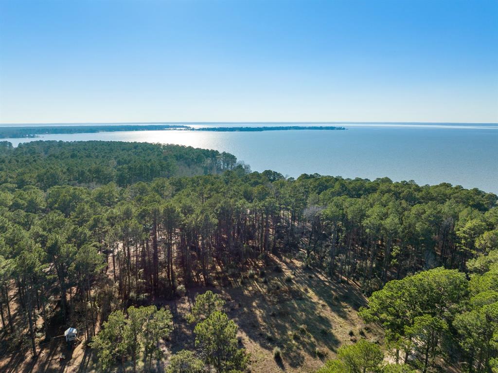 TBD Grand Pine Circle, Livingston, Texas image 7