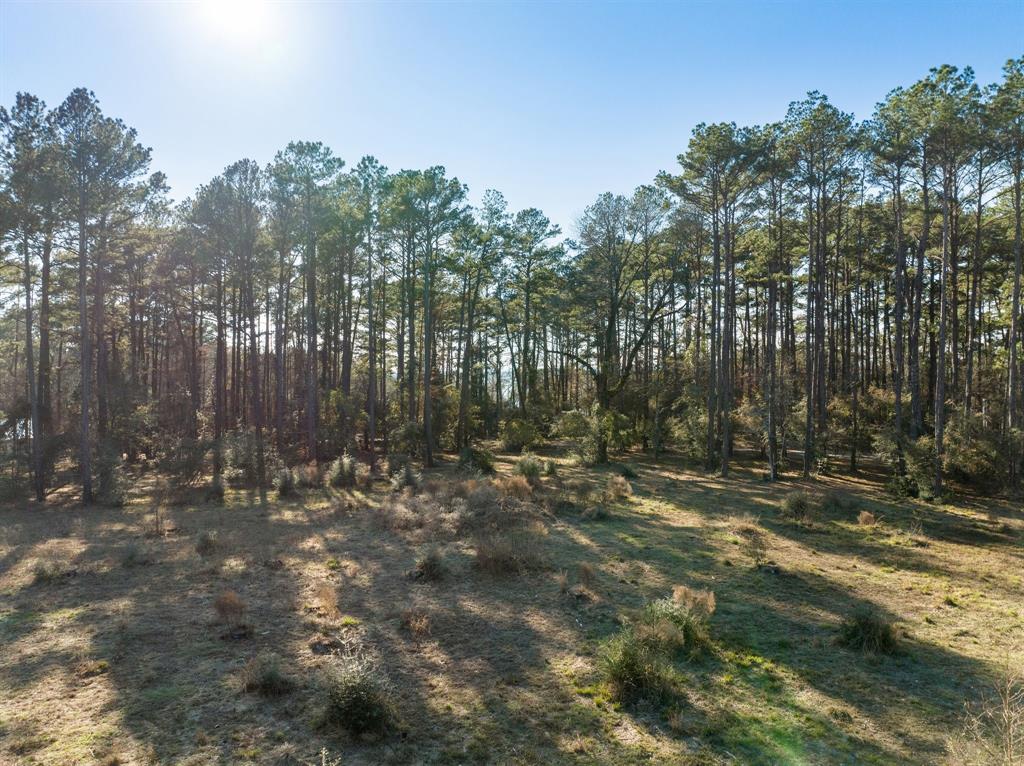 TBD Grand Pine Circle