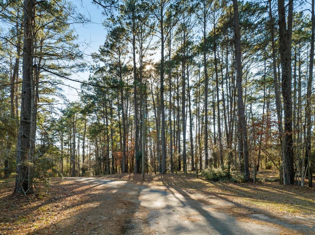 TBD Grand Pine Circle, Livingston, Texas image 6
