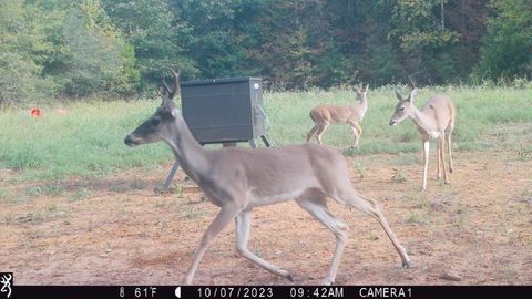 Photo of 0 NW Fm 1511 N, Oakwood, TX 75855 (MLS # 77981841) Photo of 0 NW Fm 1511 N, Oakwood, TX 75855 (MLS # 77981841)