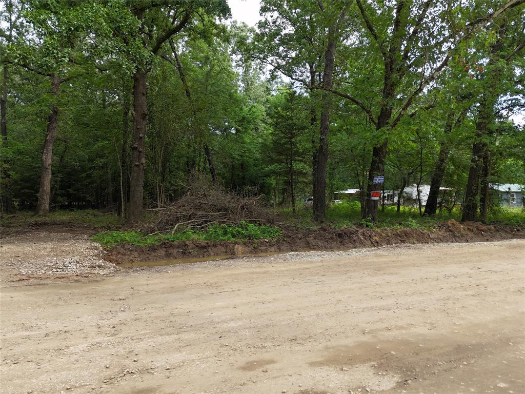 TBD Burchfield Drive, Livingston, Texas image 13