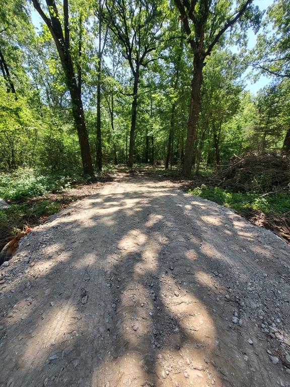 TBD Burchfield Drive, Livingston, Texas image 8