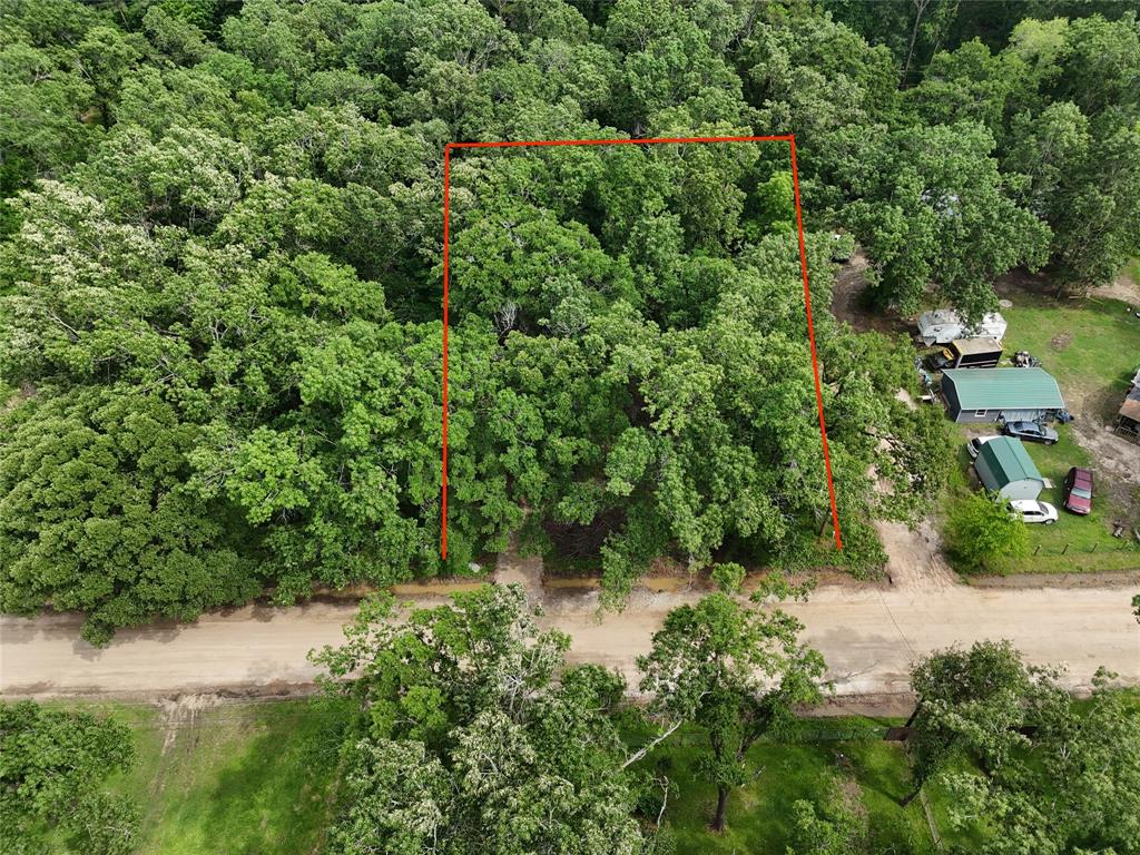TBD Burchfield Drive, Livingston, Texas image 6