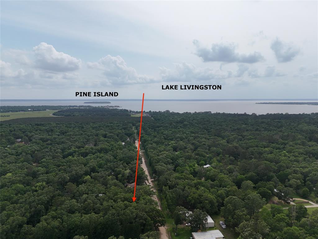 TBD Burchfield Drive, Livingston, Texas image 3