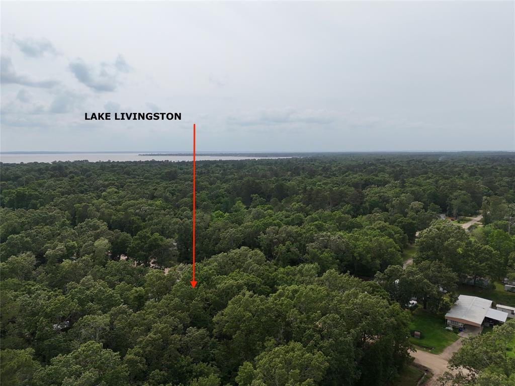 TBD Burchfield Drive, Livingston, Texas image 1