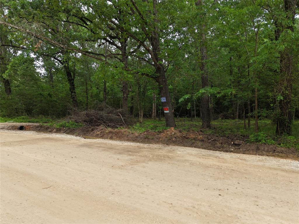 TBD Burchfield Drive, Livingston, Texas image 12