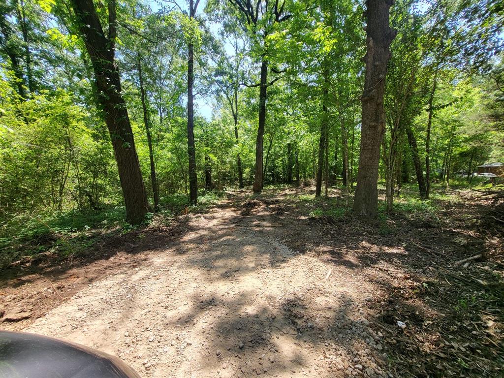 TBD Burchfield Drive, Livingston, Texas image 9
