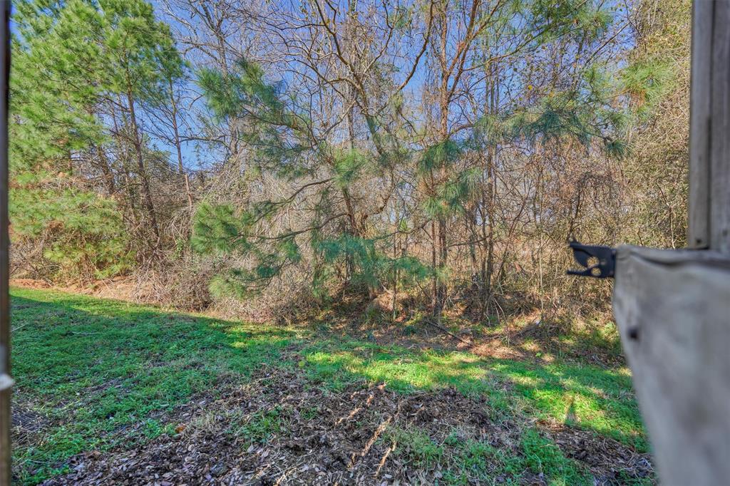 114 Black Swan Place, The Woodlands, Texas image 45