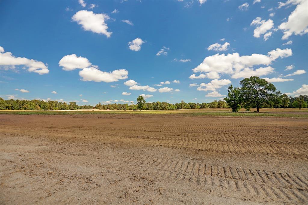 2013 Stallion Lakes Avenue, Hockley, Texas image 9