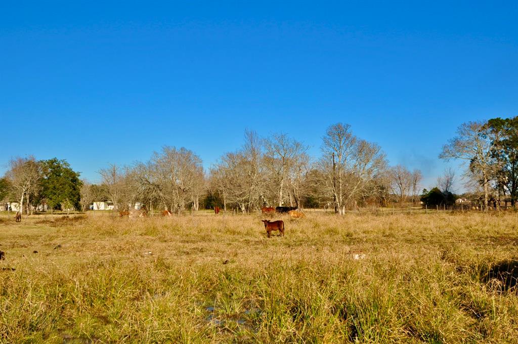 1751 Rosharon Road, Alvin, Texas image 4