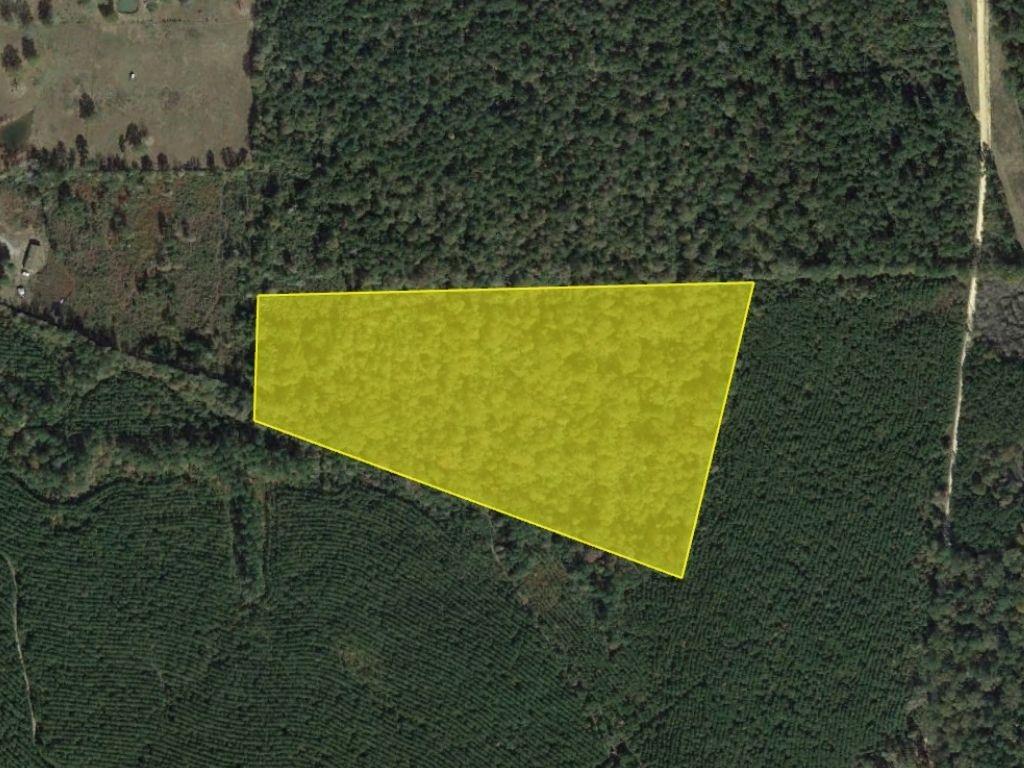 00 County Road 8894, Silsbee, Texas image 1