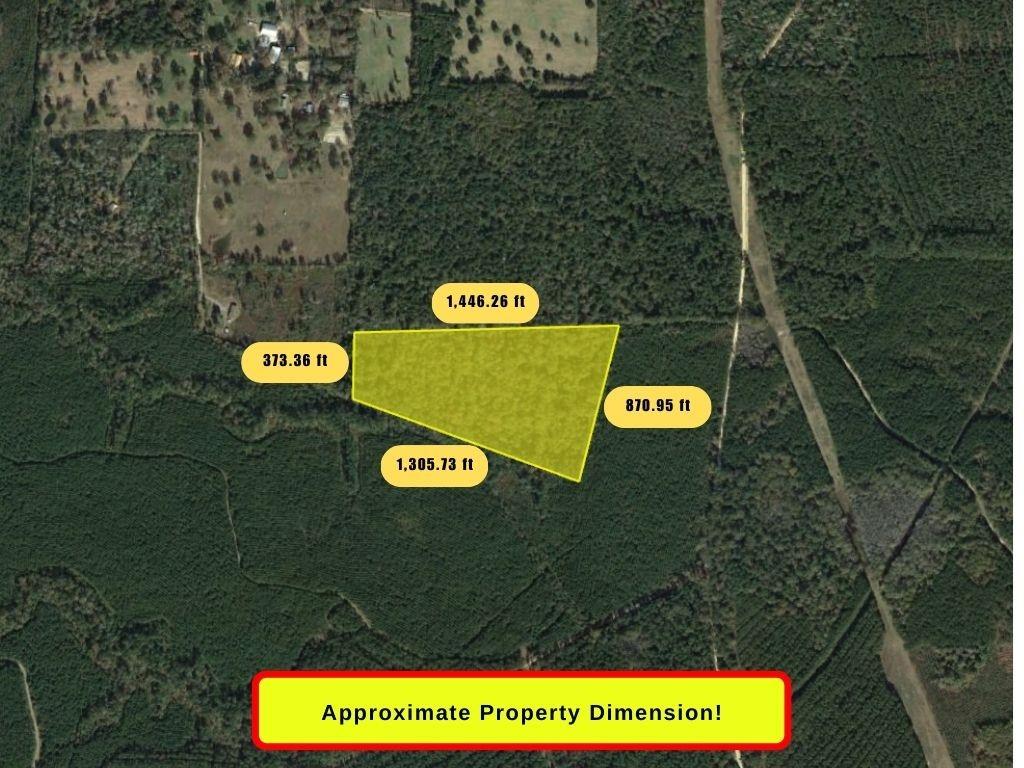 00 County Road 8894, Silsbee, Texas image 3