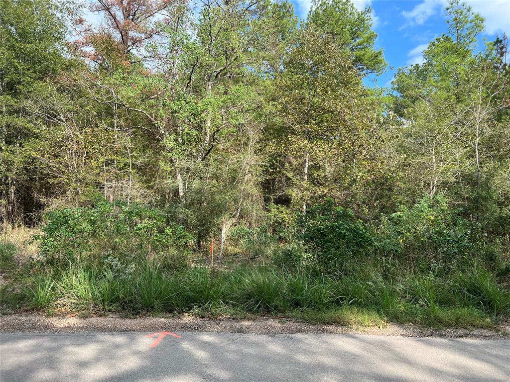 16 Acres Highway 356 At Camp Branch Road, Trinity, Texas image 1